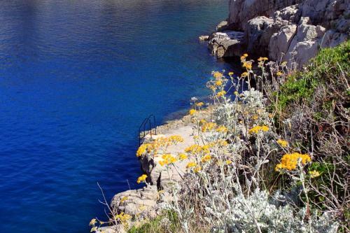 Apartments With A Parking Space Veli Losinj (losinj) - 8029