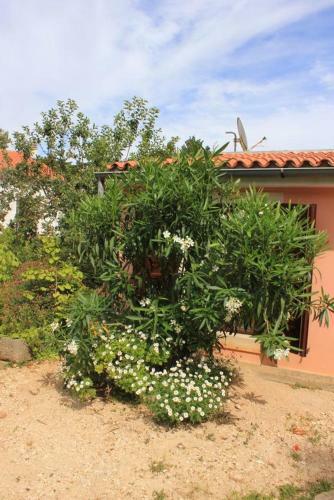 Apartments With A Parking Space Veli Losinj (losinj) - 8029
