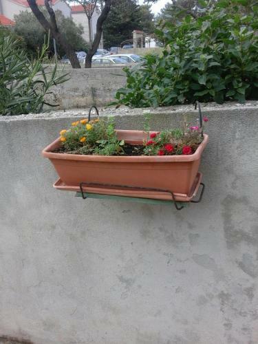 Hostal Guest House Jerica