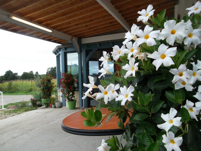 Bed & Breakfast Les Chambres Du Rochereuil