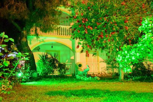 Apartamento Rania Studios