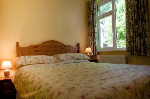 Shamrock House B&B