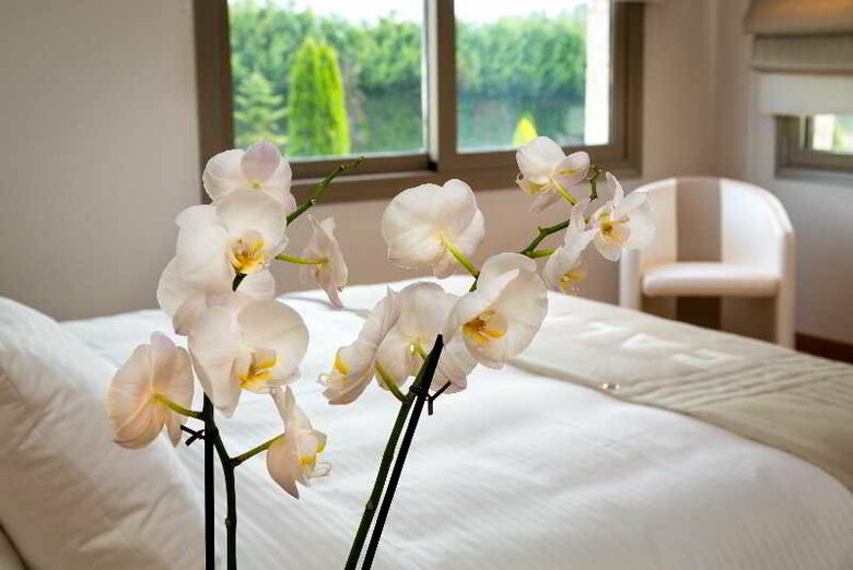 Calma Hotel & Spa