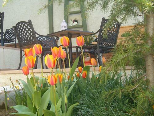 Hostal Allahou