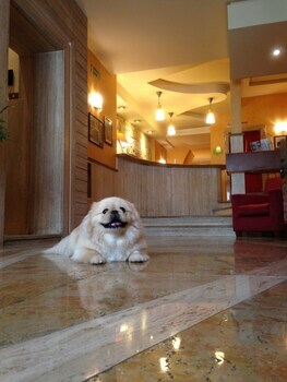 Posta Hotel