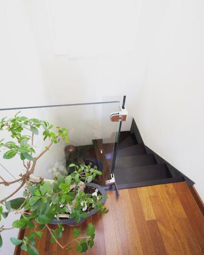Apartamentos Deluxe Suites Mandi?