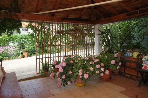 Apartment Pasman 8220a