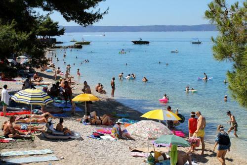 Apartment Podgora 518c