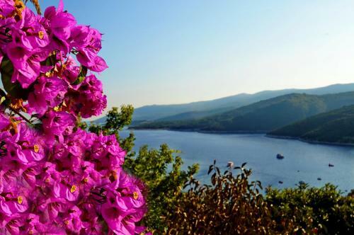 Apartment In Rabac 16742
