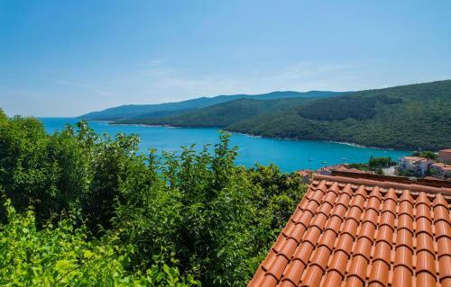 Apartment In Rabac 16742