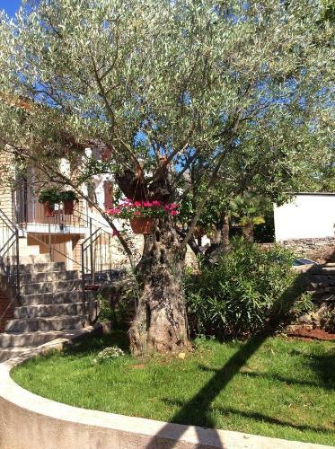 Apartamento Juli's Place