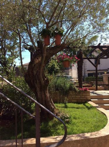 Apartamento Juli's Place