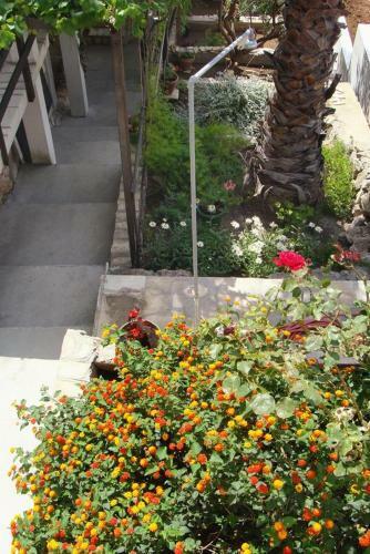 Apartment Milna 2461a