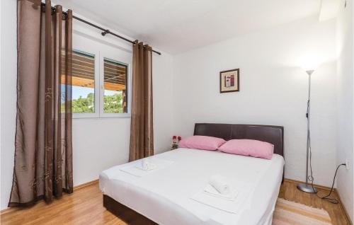 Apartment Franje Rackoga
