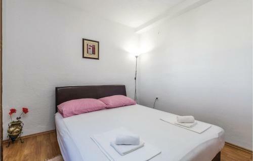 Apartment Franje Rackoga