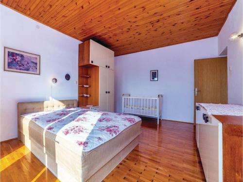 Apartment Ivana Lenkovica III