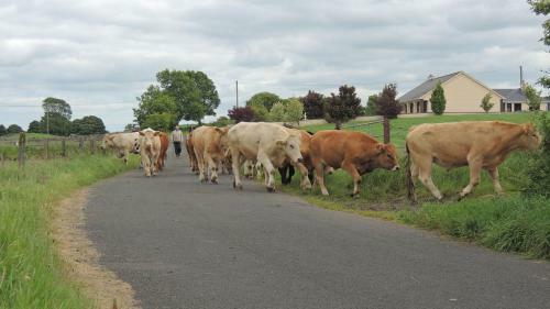 Green Acres Self Catering