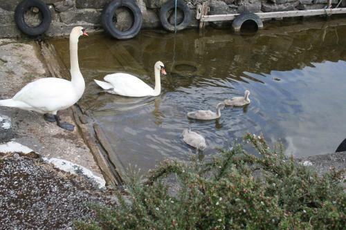 Hostal Corrib Wave Guesthouse