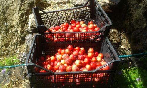 Agroturismo Su Ponti Biancu
