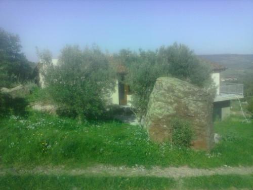 Agroturismo Su Ponti Biancu