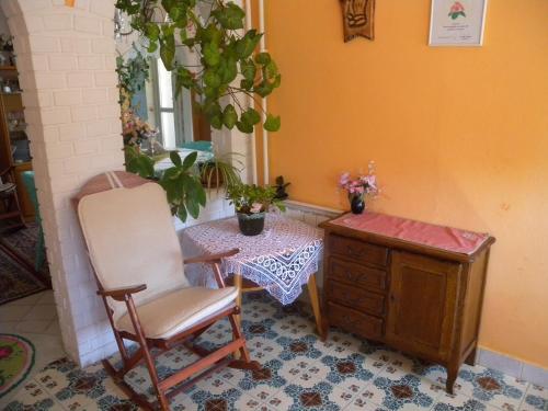 Apartment In Siofok/balaton 19664