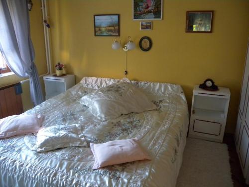 Apartment In Siofok/balaton 19664