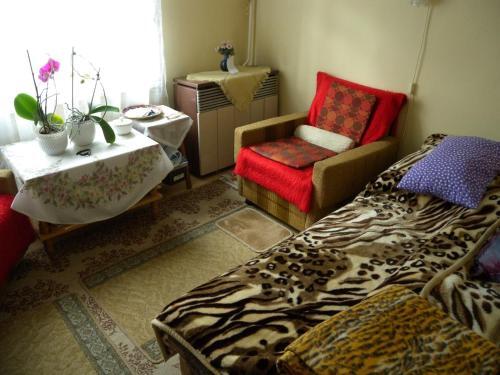 Apartment In Siofok/balaton 19723