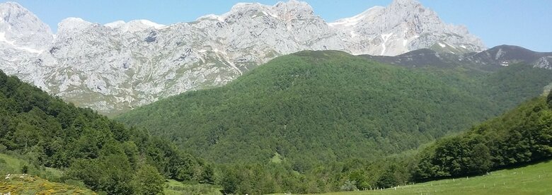 Agroturismo El Conventu Del Asturcon