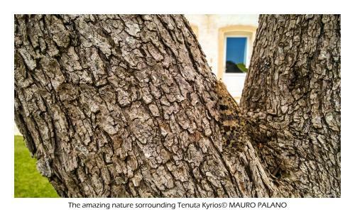 Agroturismo Tenuta Kyrios