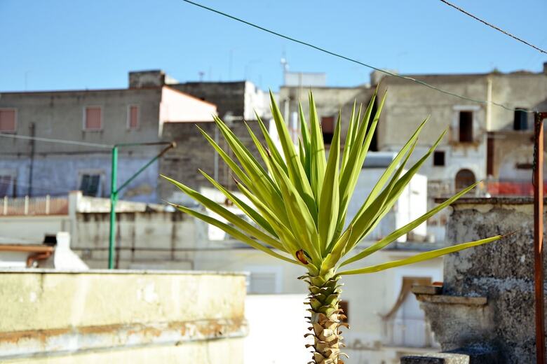 Apartamento Casa Antica Canosa