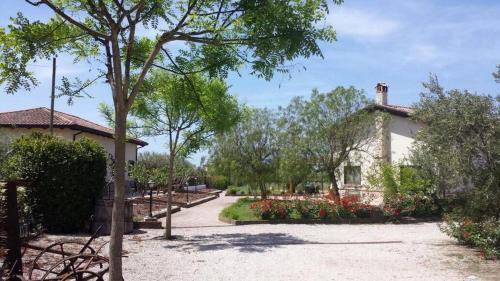 B&B Terre Di Paestum