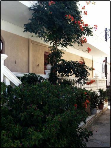Apartamento Manolis Maria Flitzani Studios