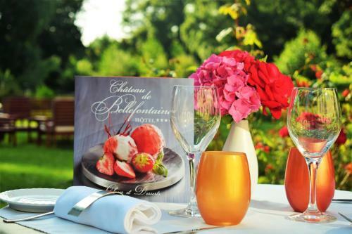 Hotel Ch�teau De Bellefontaine