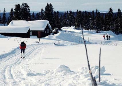 Hotel Gr�nolen Fjellgard