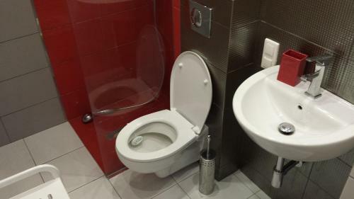 Studiospanie Apartament Alfa