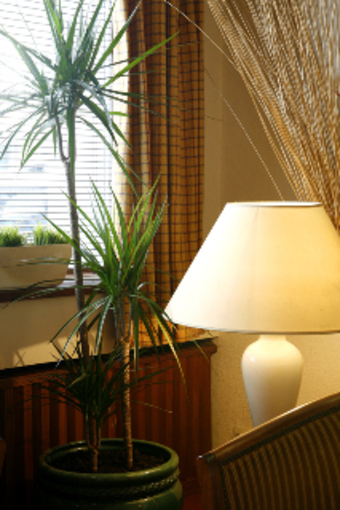 Hotel Manche Ocean