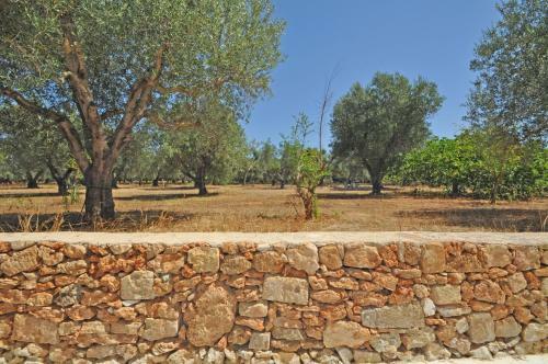Agroturismo Tenuta Mazzucchi Tarantino