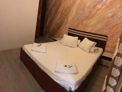 Hotel Cosmin