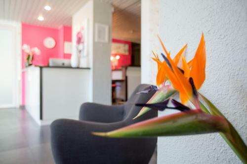 Hotel Bel Ombra H�tel