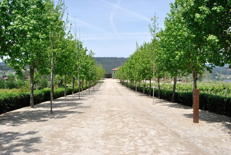 Monverde - Wine Experience Hotel