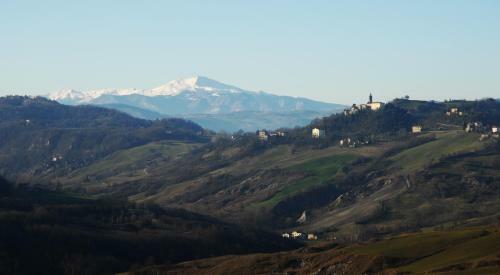 Hotel Albergo Belvedere