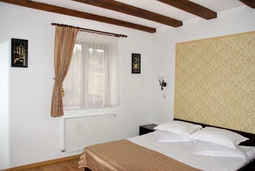 Hostal Pensiunea Viodor