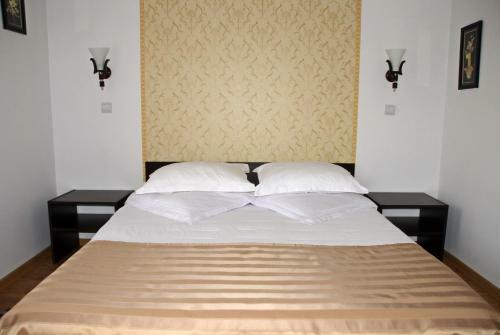 Hostal Pensiunea Viodor