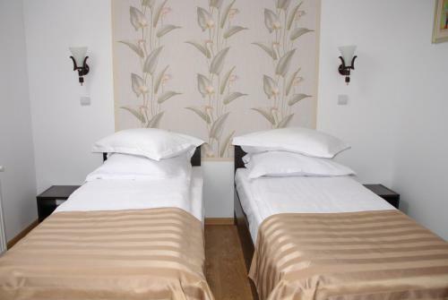 Hostal Pensiunea Viodor