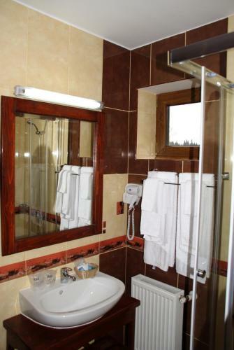 Hostal Pensiunea Viodor