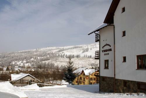 Hostal Pensiunea Viodor