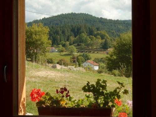 Chalet - Gerardmer