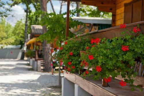 Camping Parco Vacanza Partaccia 2