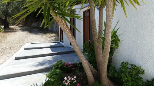 Il Rifugio B&B E Case Vacanze