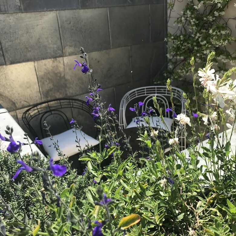 Hotel Recamier